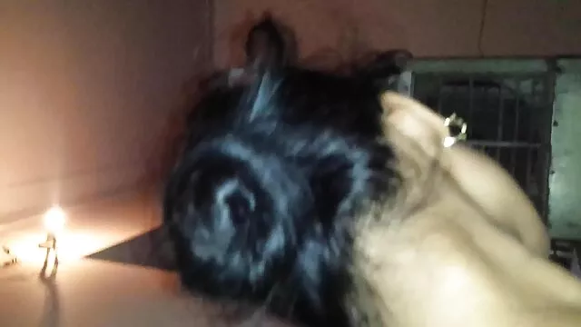 培训2。 印度印地语音频色情 B部分