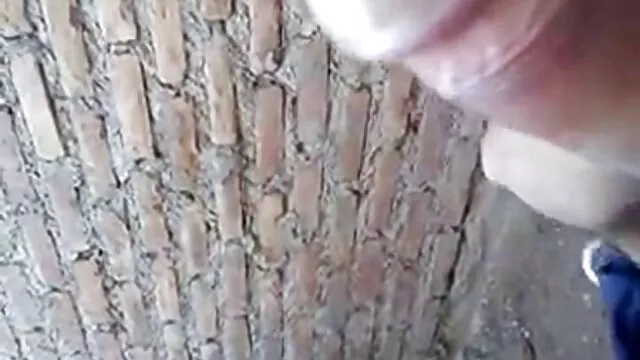 金发冬青心 印度色情电影