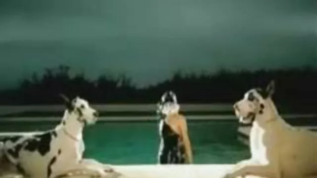 划伤-不在中间 新的印度色情