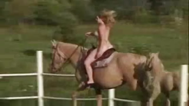 奴隶m-车间助理Day1 印度汽车性