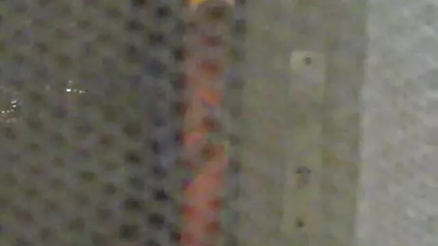 乌德利去-霍莉威尔德斯-720p 印度学生色情