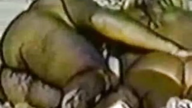 拜托，红发，720p 印度当地的性别视频